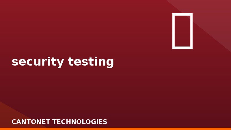 security testing